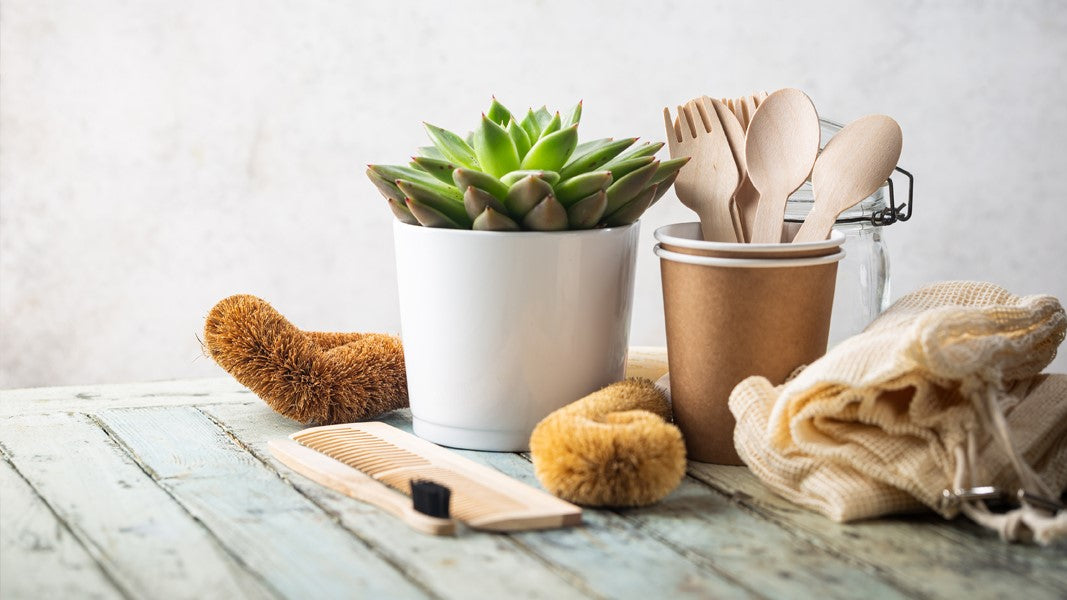 Eco-Friendly Home Essentials: Products That Save Energy and Reduce Waste
